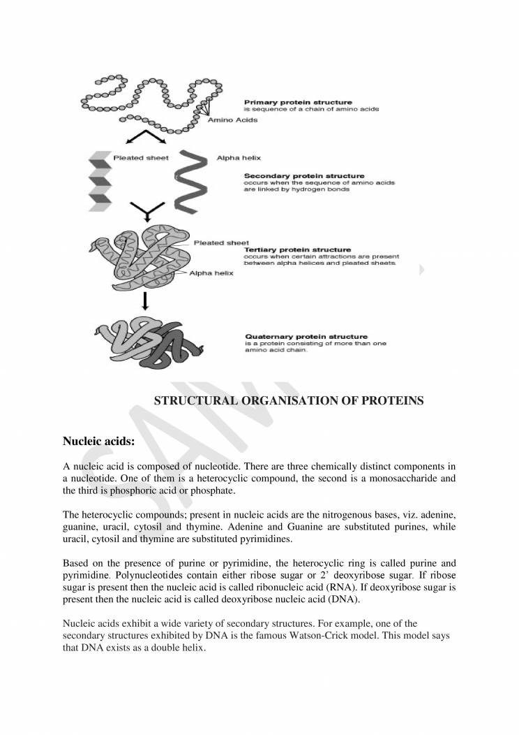 Biomolecules Notes LearnPick India