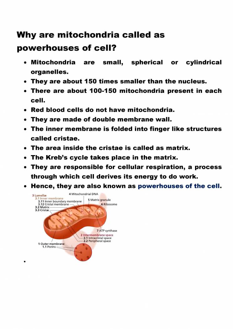 Notes On Mitochondria Notes LearnPick India