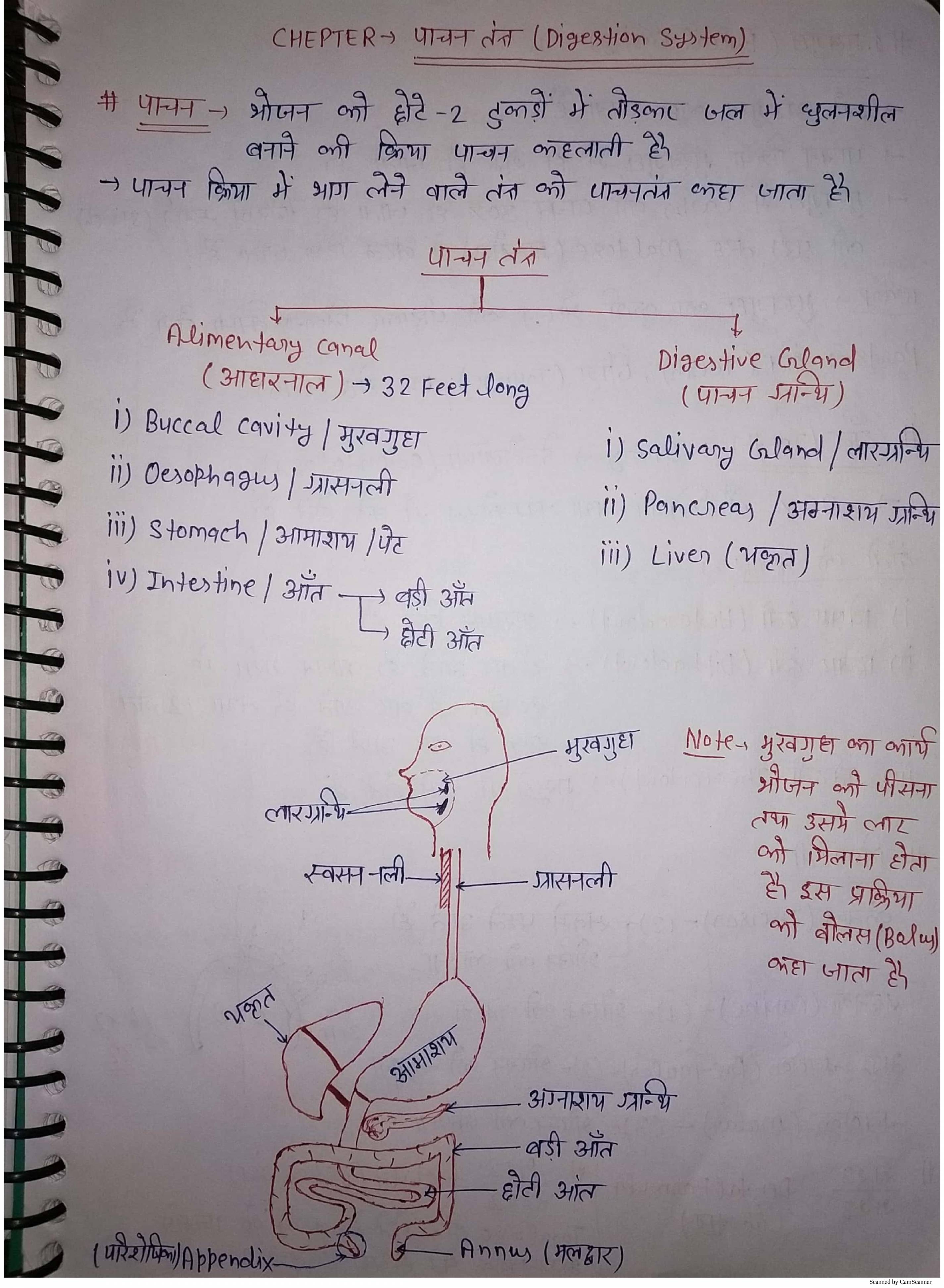 Human Systems Biology Hindi Notes Notes LearnPick India human-systems-biology-hindi-notes-notes-learnpick-india