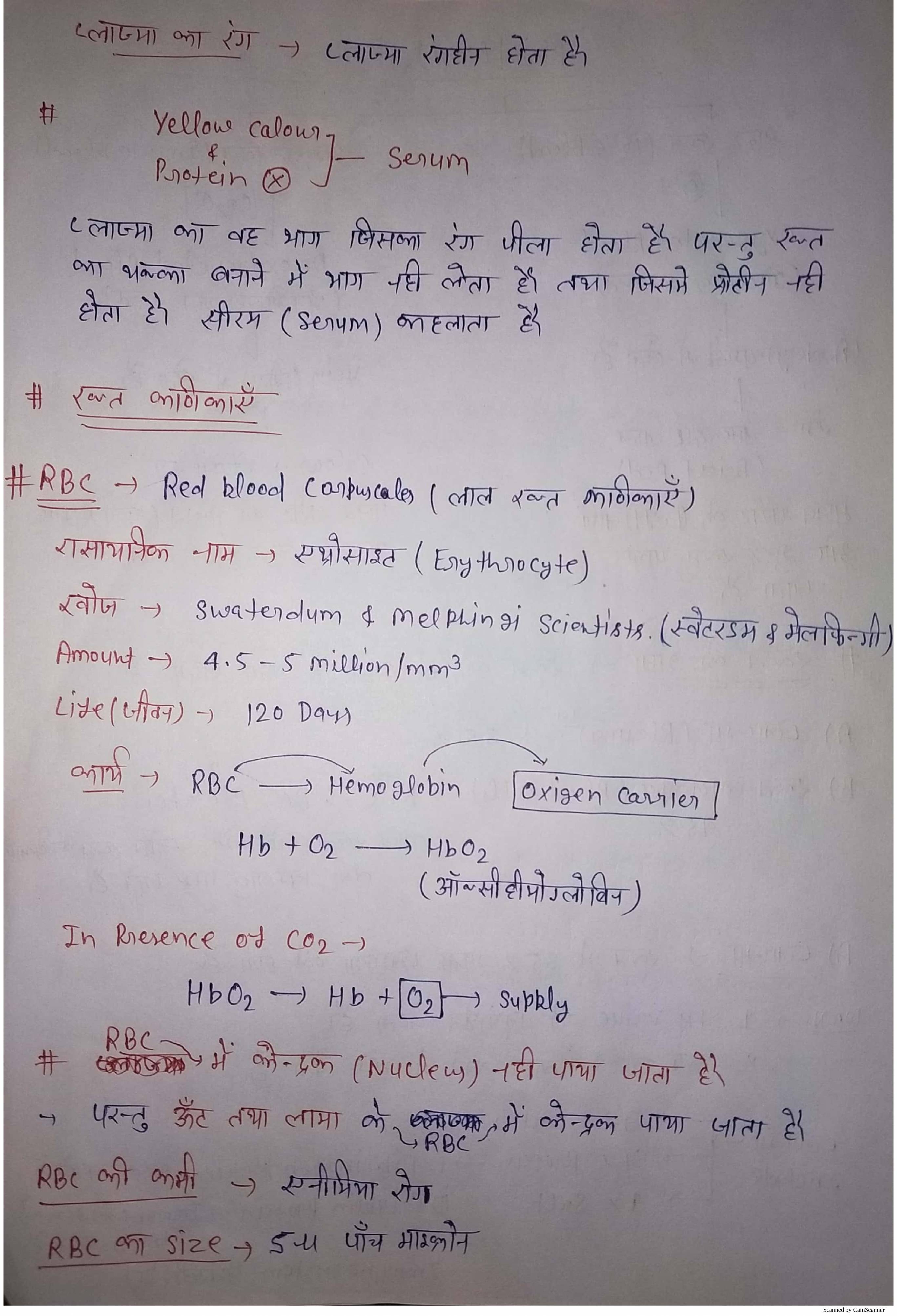Anatomy visual data 5