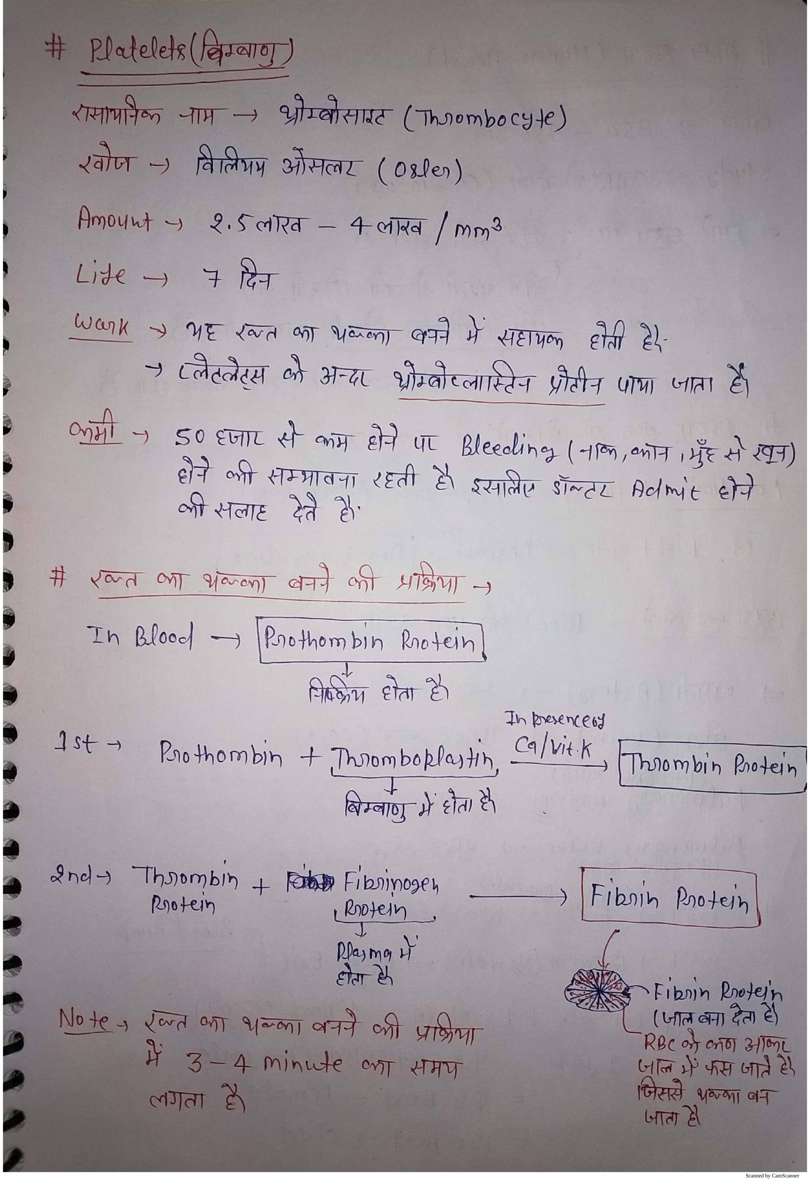 Human Systems Biology Hindi Notes Notes Learnpick India