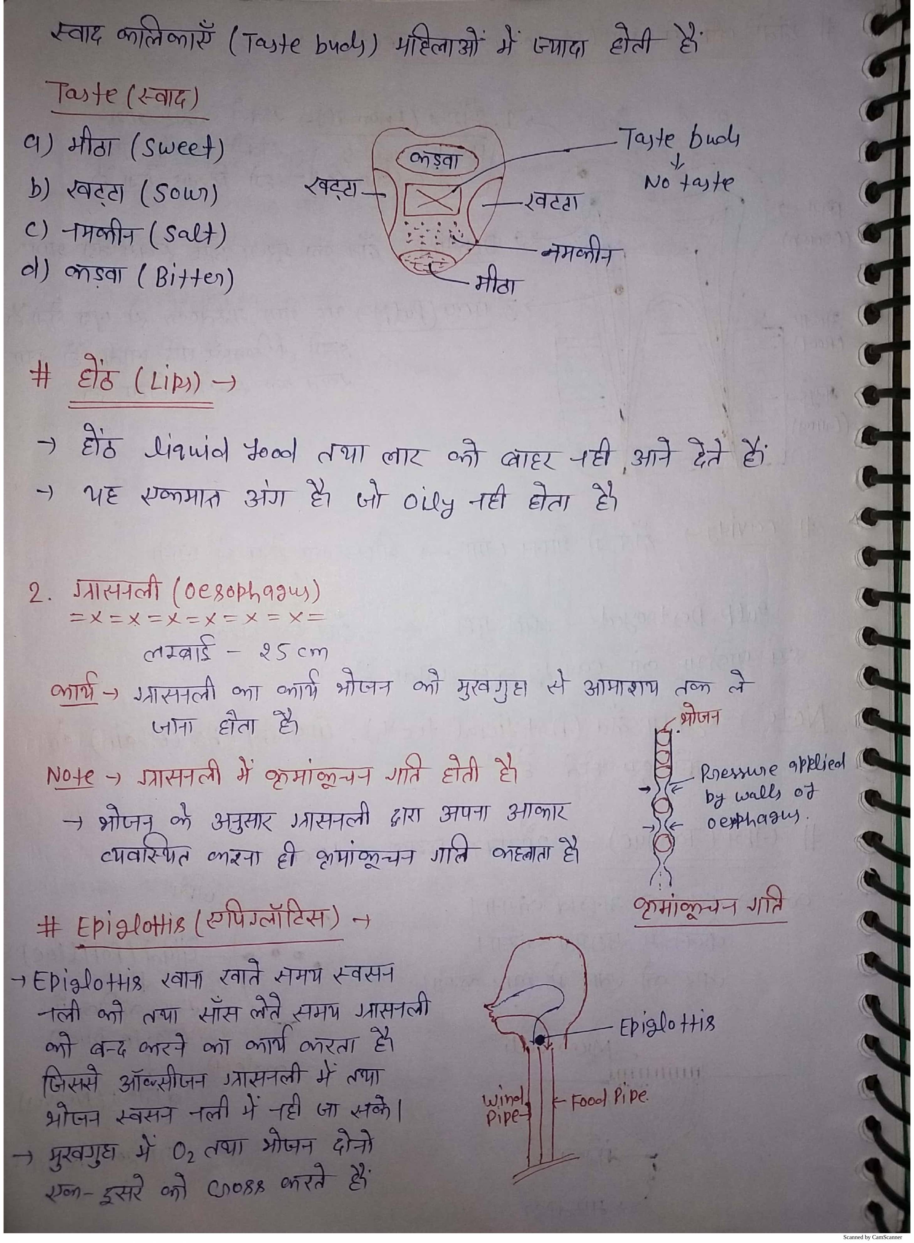 human-systems-biology-hindi-notes-notes-learnpick-india