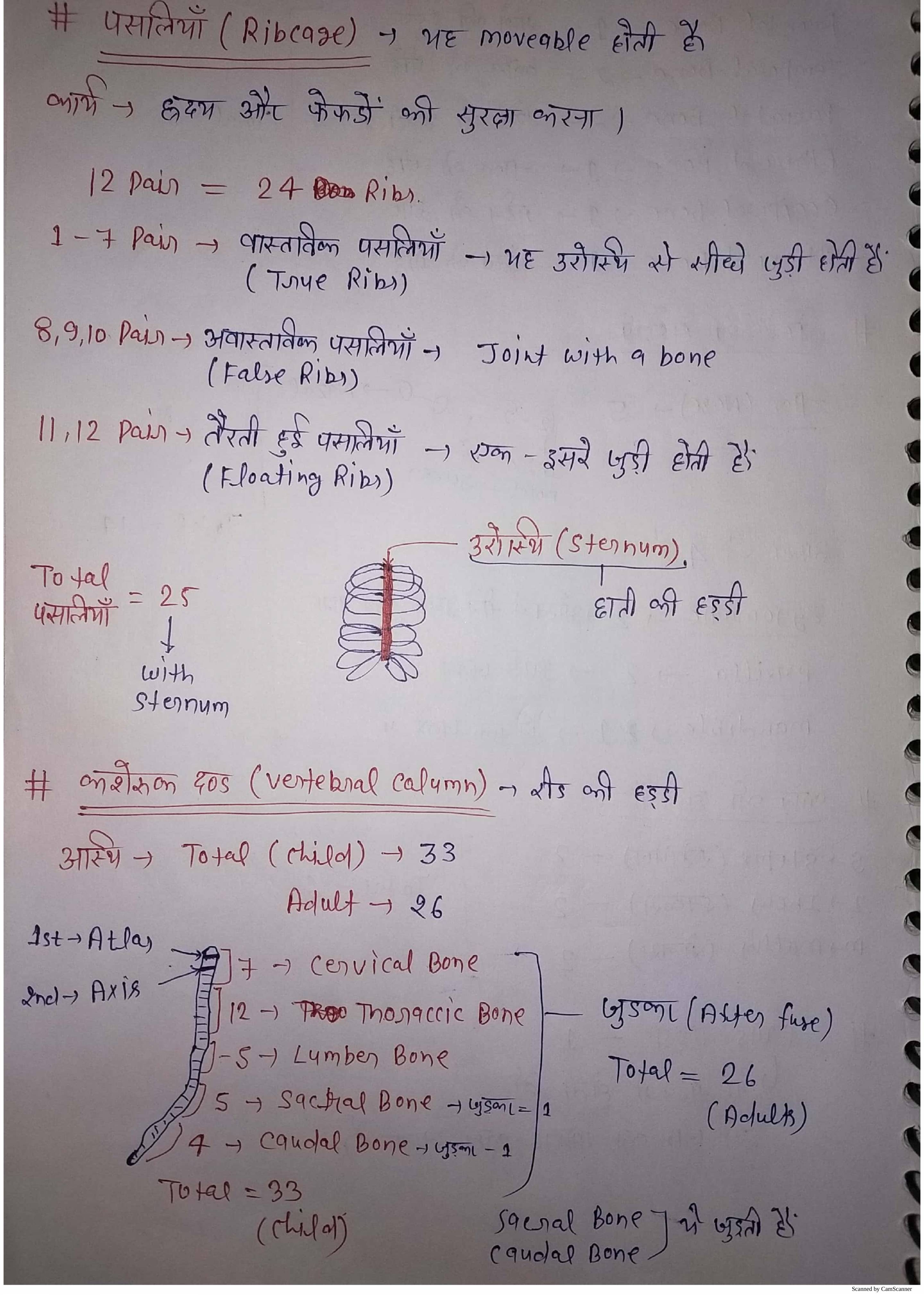 HUMAN ANATOMY AND PHYSIOLOGY NOTES PDF 1ST YEAR IN HINDI visual data 6