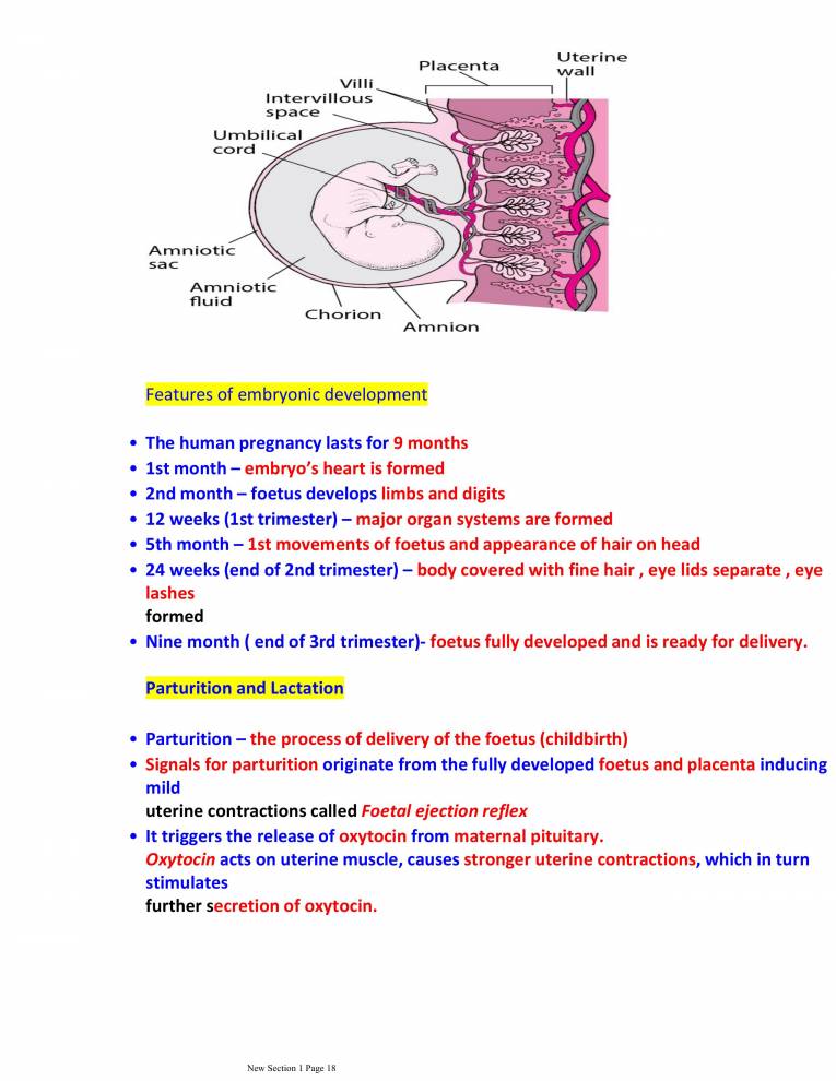 HUMAN REPRODUCTION NCERT BASED NOTES - Notes - LearnPick India