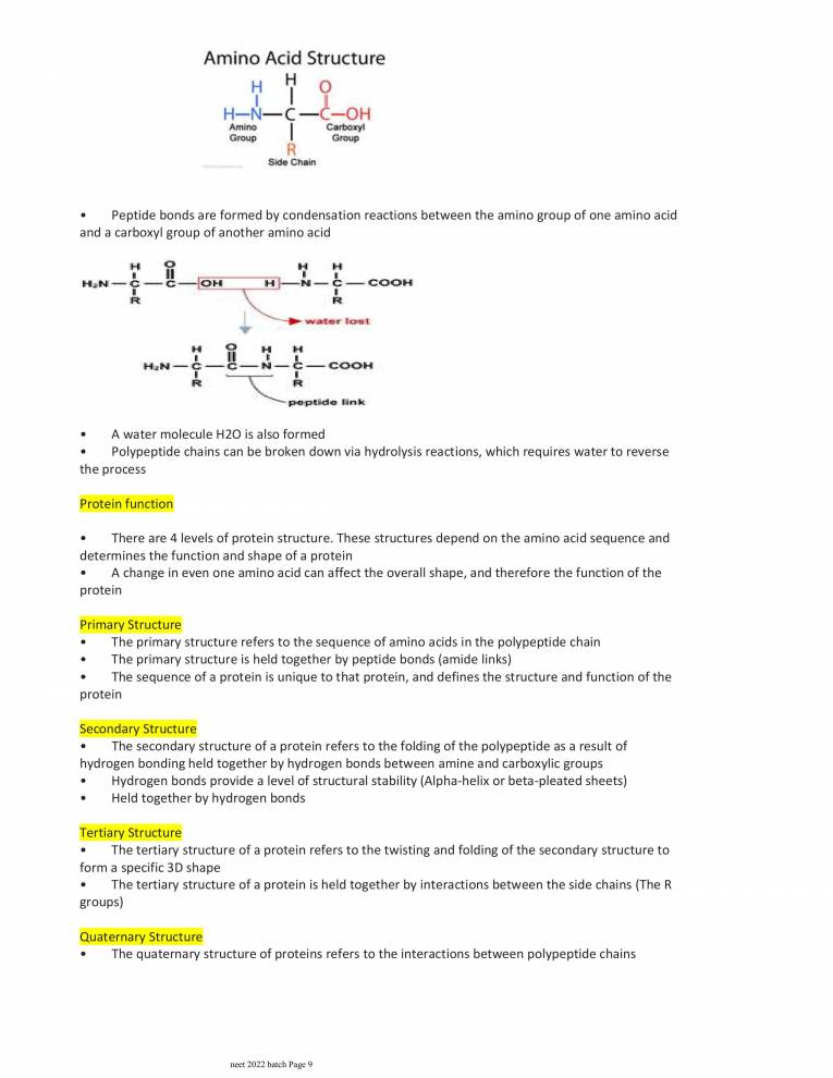 Note On Biomolecules Notes LearnPick India
