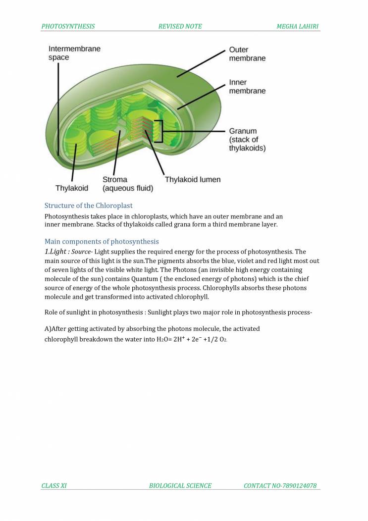 Photosynthesis Notes LearnPick India