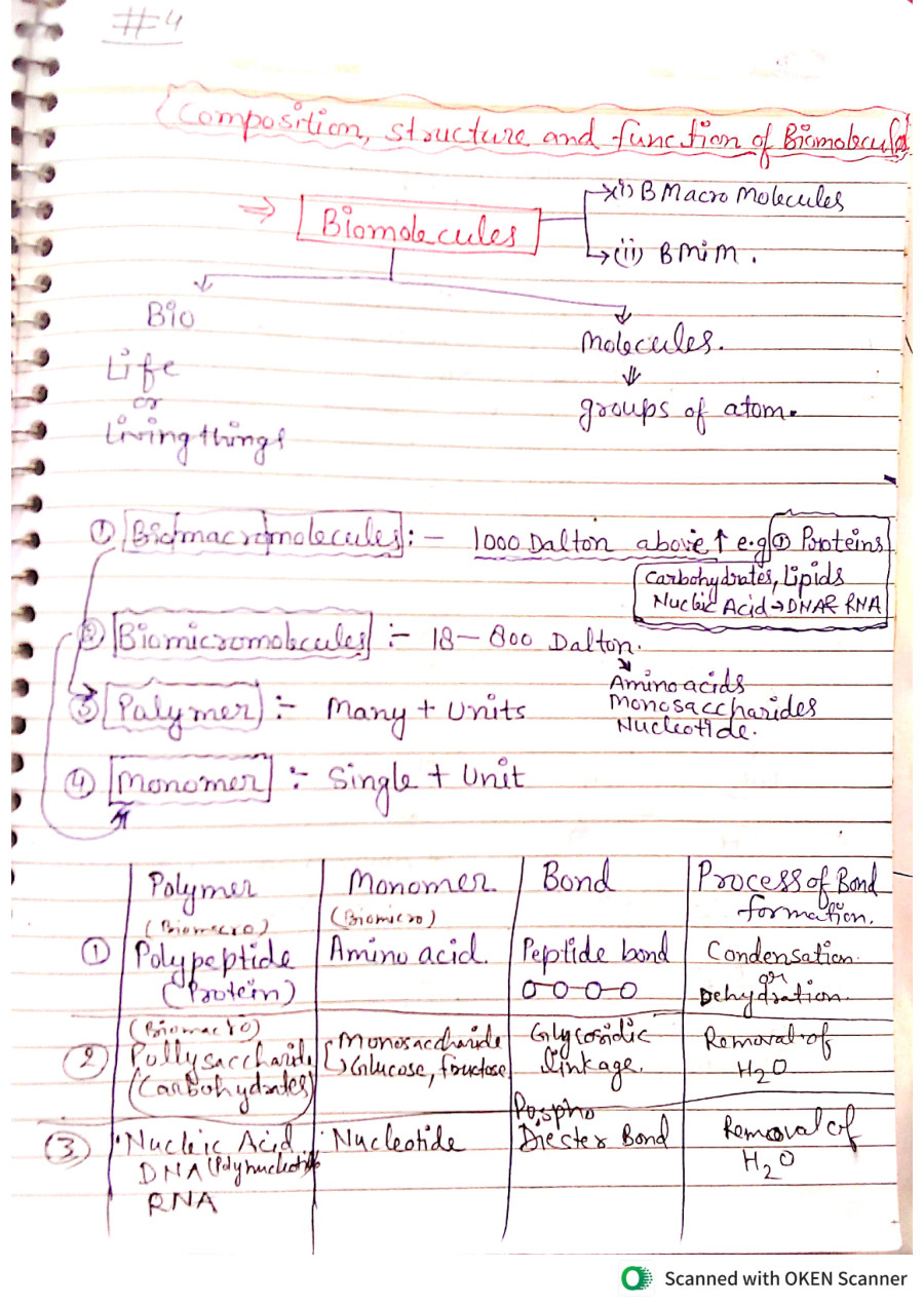 Biomolecules composition structure and function Notes LearnPick India