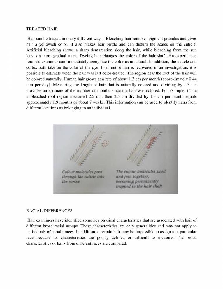 Importance Of Hair Notes LearnPick India