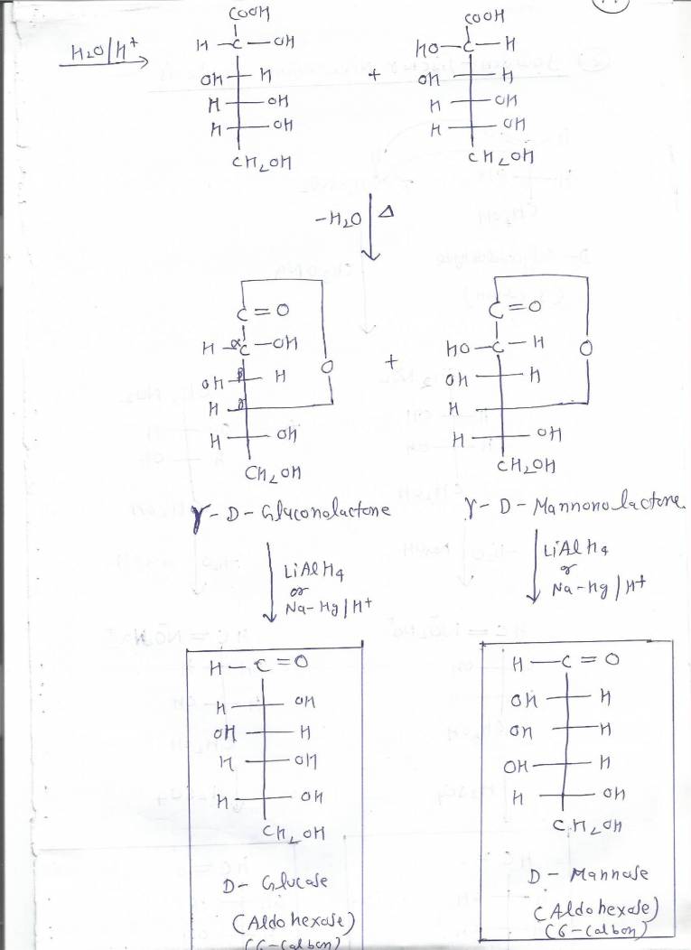 Carbohydrate Chemistry Notes LearnPick India