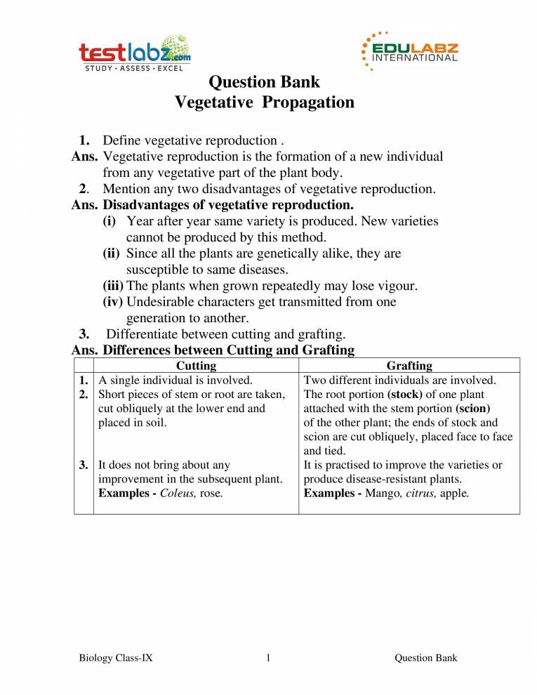 Vegetative Reproduction Notes LearnPick India