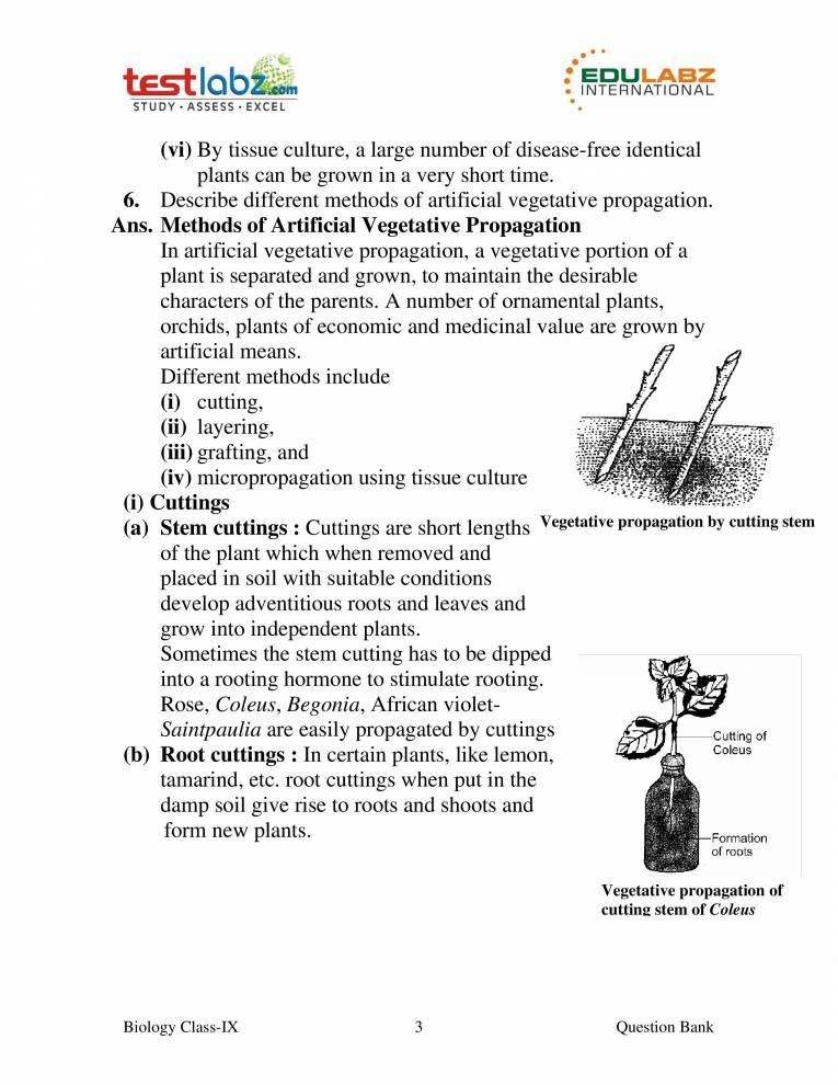 Vegetative Reproduction Notes LearnPick India