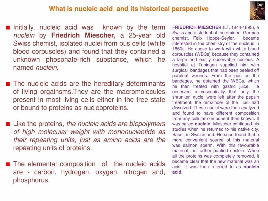 Importance Of Nucleic Acid Notes LearnPick India