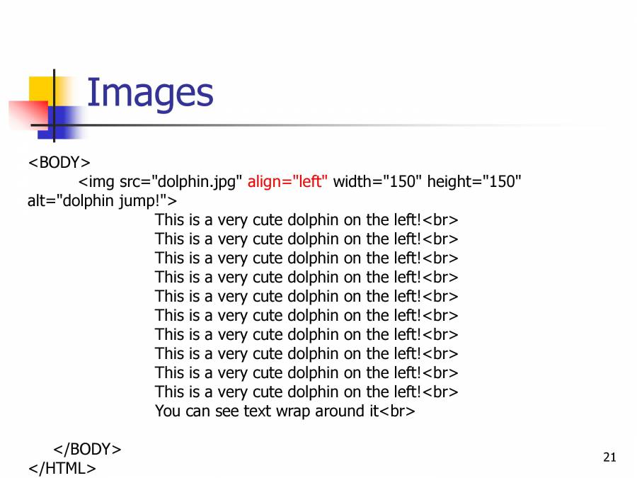 HTML - Notes - LearnPick India