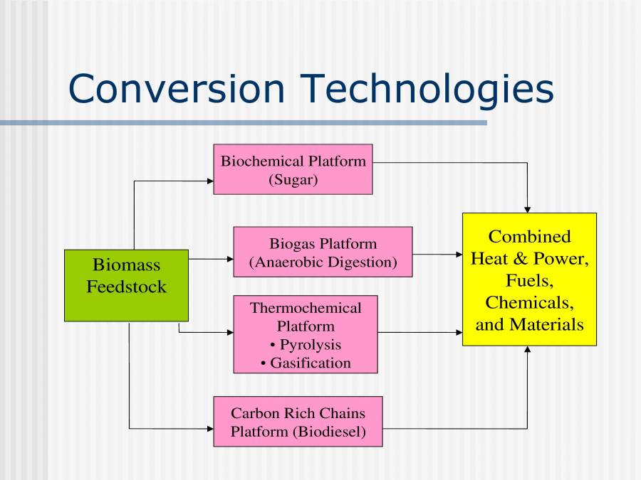 Biomass Conversion Technologies PowerPoint Slides LearnPick India