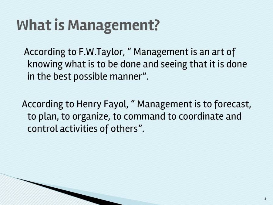 Principle Of Management Organization PowerPoint Slides LearnPick
