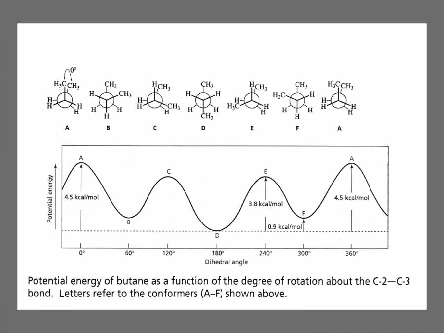 Structure Of Polymer Chain - PowerPoint Slides - LearnPick India