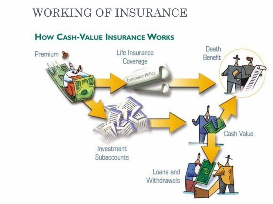 FUNCTIONS OF INSURANCE PowerPoint Slides LearnPick India