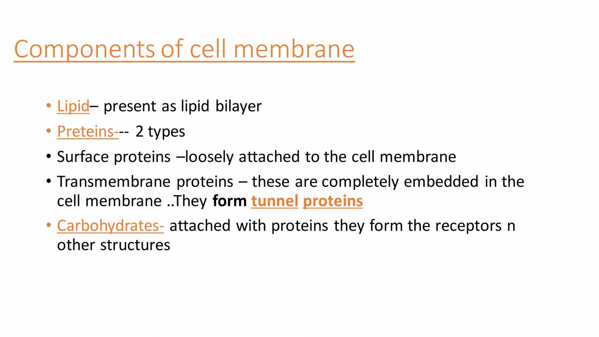 Cell Membrane PowerPoint Slides LearnPick India