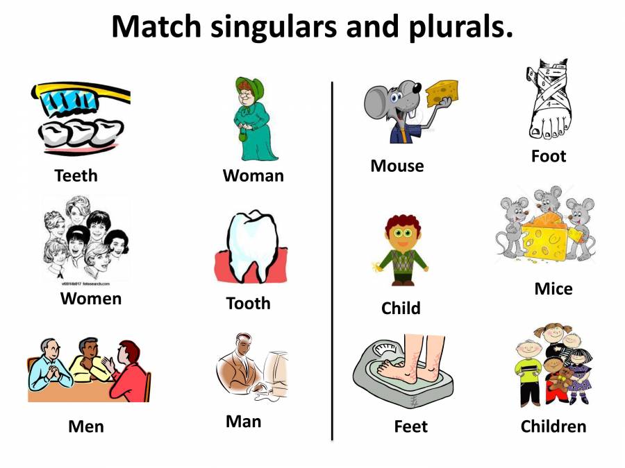 Singular And Plural English Grammar PowerPoint Slides LearnPick India