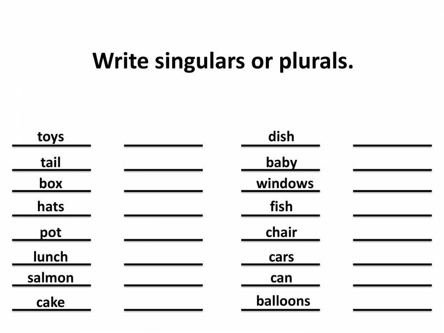 Singular And Plural English Grammar PowerPoint Slides LearnPick India