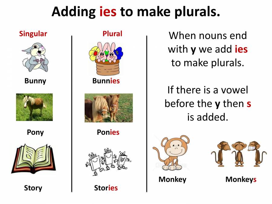 Singular And Plural English Grammar PowerPoint Slides LearnPick India