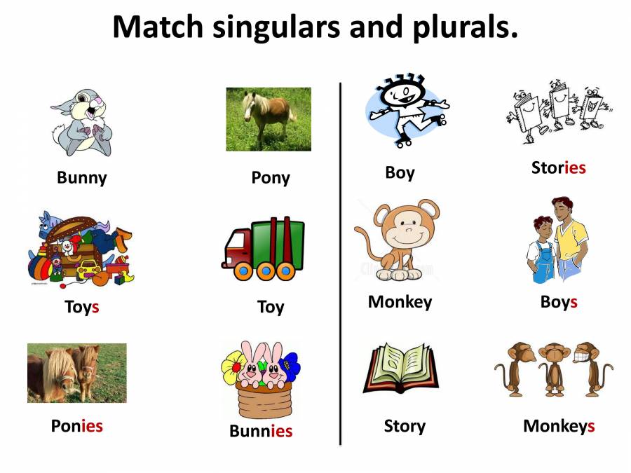 Singular And Plural English Grammar PowerPoint Slides LearnPick India