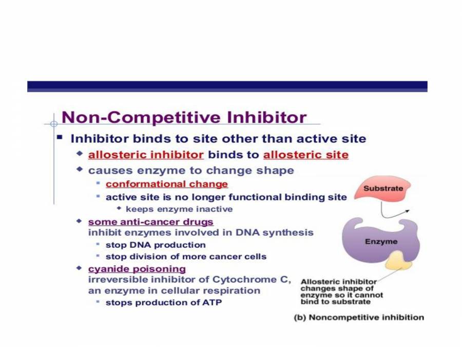 ENZYME PowerPoint Slides LearnPick India