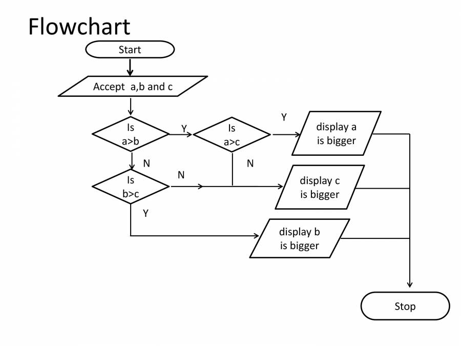 PPT On Python - If_Else - PowerPoint Slides - LearnPick India