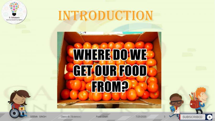 Presentation On Food Chain (Science Class 6) PowerPoint Slides