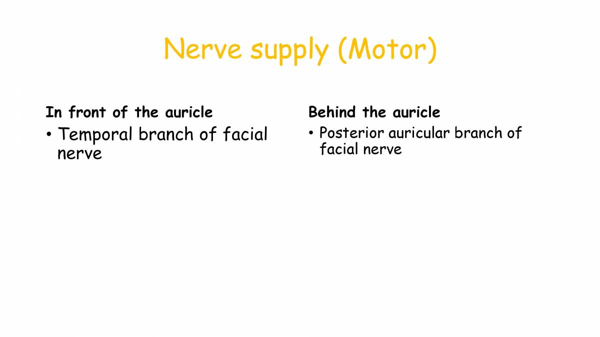 applied anatomy of scalp ppt