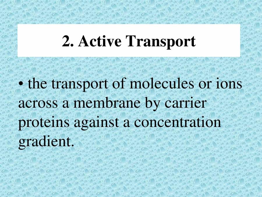 Types Of Transport PowerPoint Slides LearnPick India