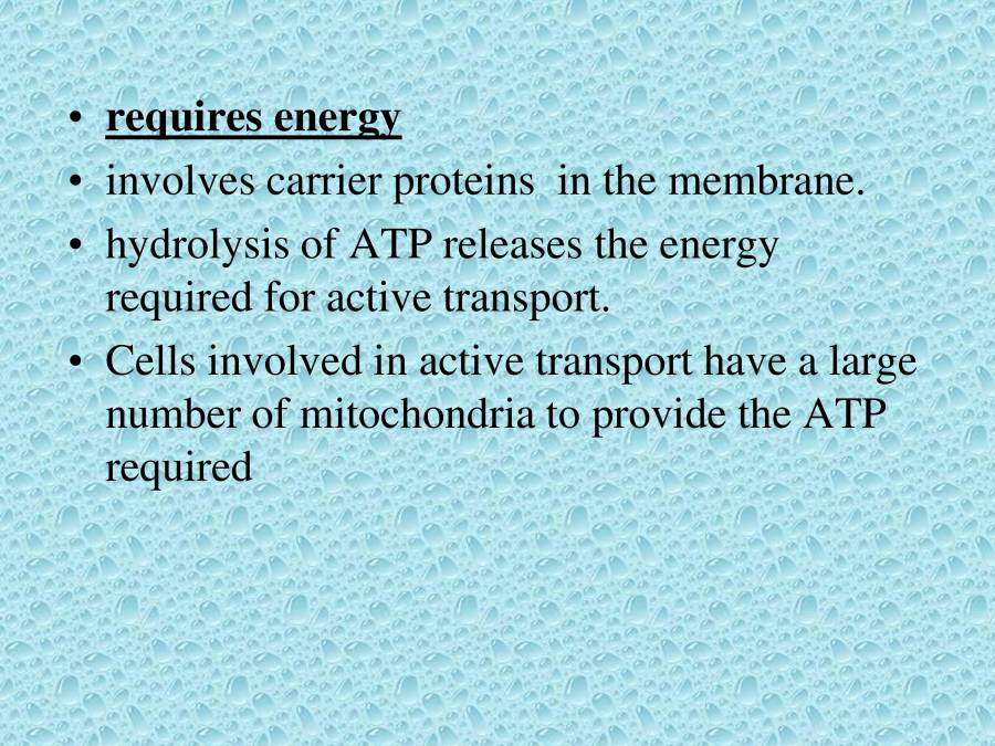 Types Of Transport PowerPoint Slides LearnPick India