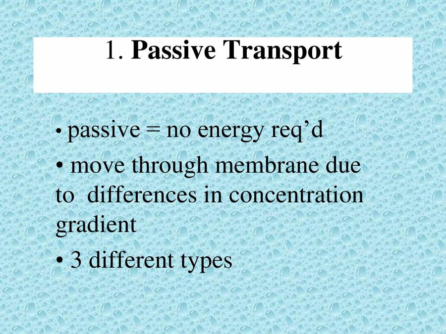 Types Of Transport PowerPoint Slides LearnPick India