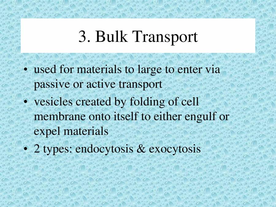 Types Of Transport PowerPoint Slides LearnPick India