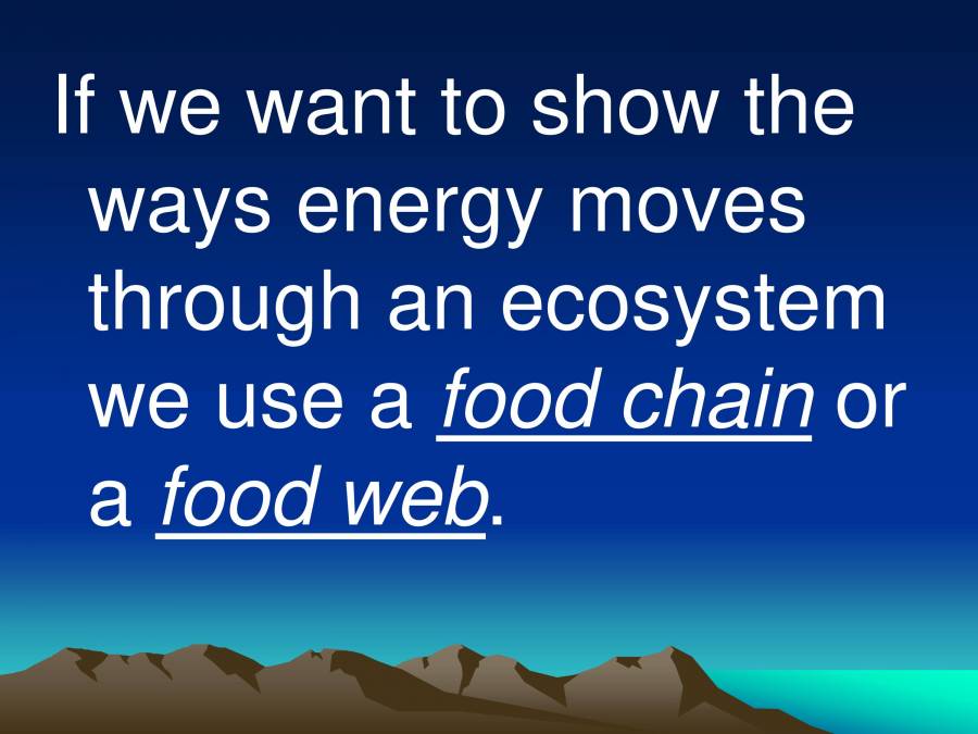 Food Chain & Food  PowerPoint Slides LearnPick India