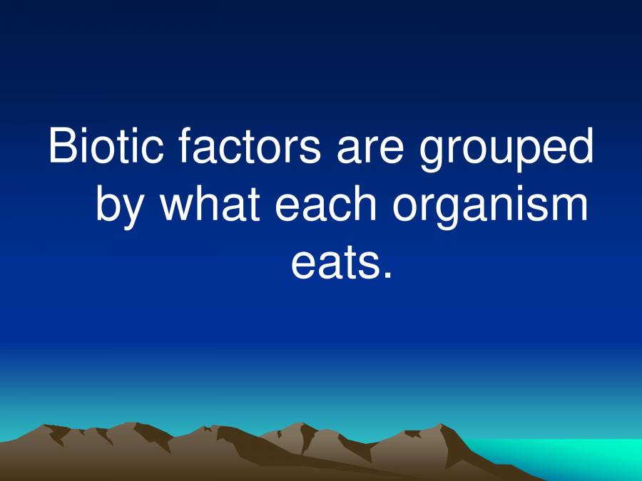 Food Chain & Food  PowerPoint Slides LearnPick India