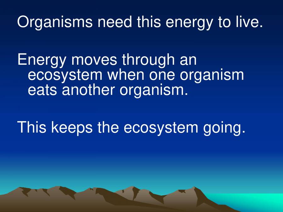 Food Chain & Food  PowerPoint Slides LearnPick India