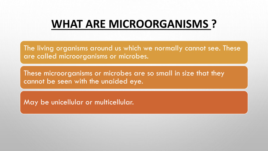 Microorganisms - PowerPoint Slides - LearnPick India