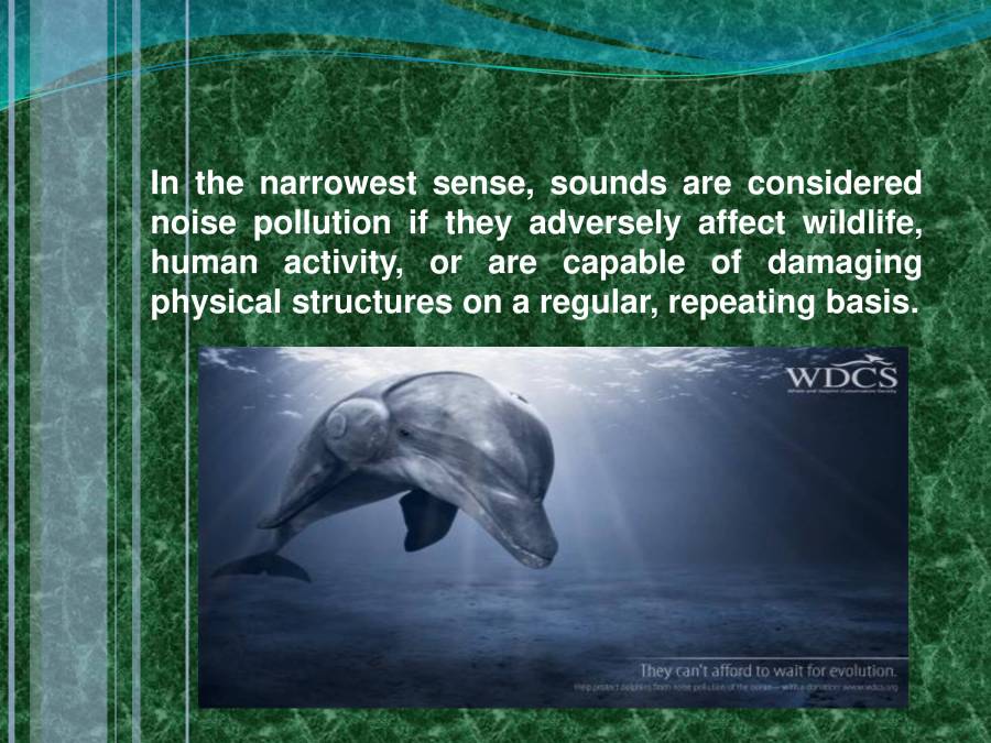 Noise Pollution PowerPoint Slides LearnPick India