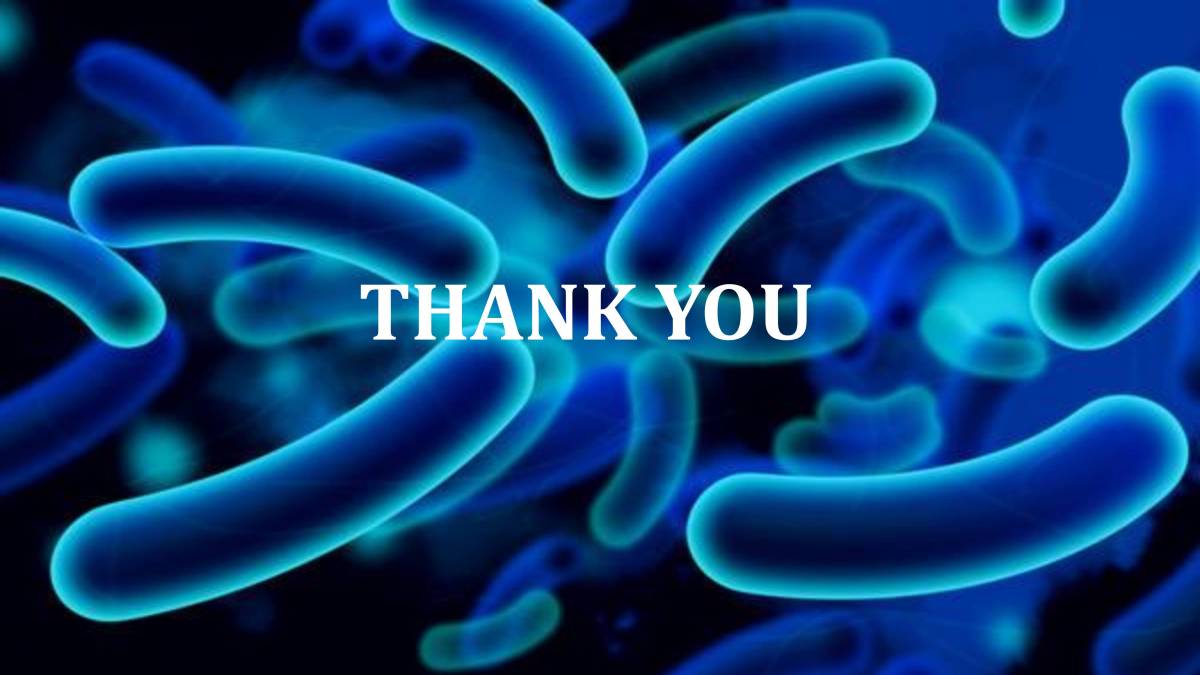 MICROBES IN HUMAN WELFARE CLASS XIIth BIOLOGY PowerPoint Slides