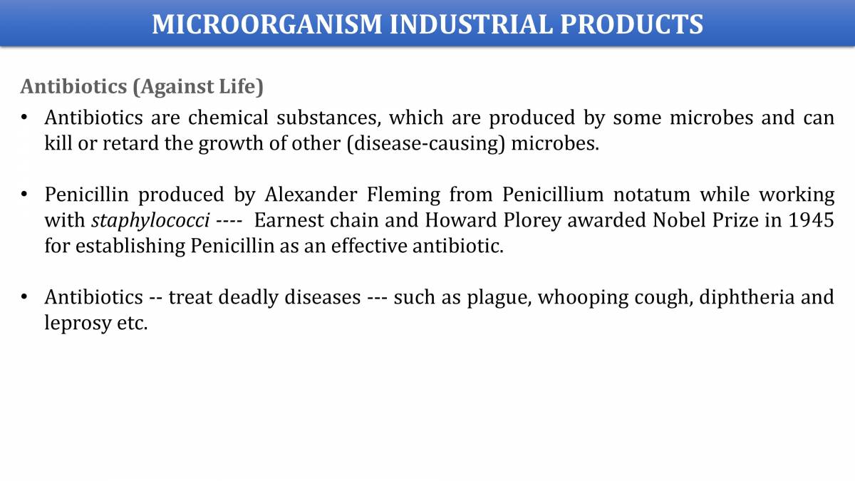 MICROBES IN HUMAN WELFARE CLASS XIIth BIOLOGY PowerPoint Slides