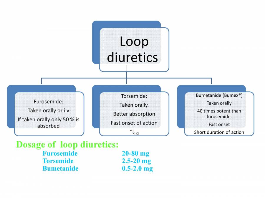 Diuretics PowerPoint Slides LearnPick India