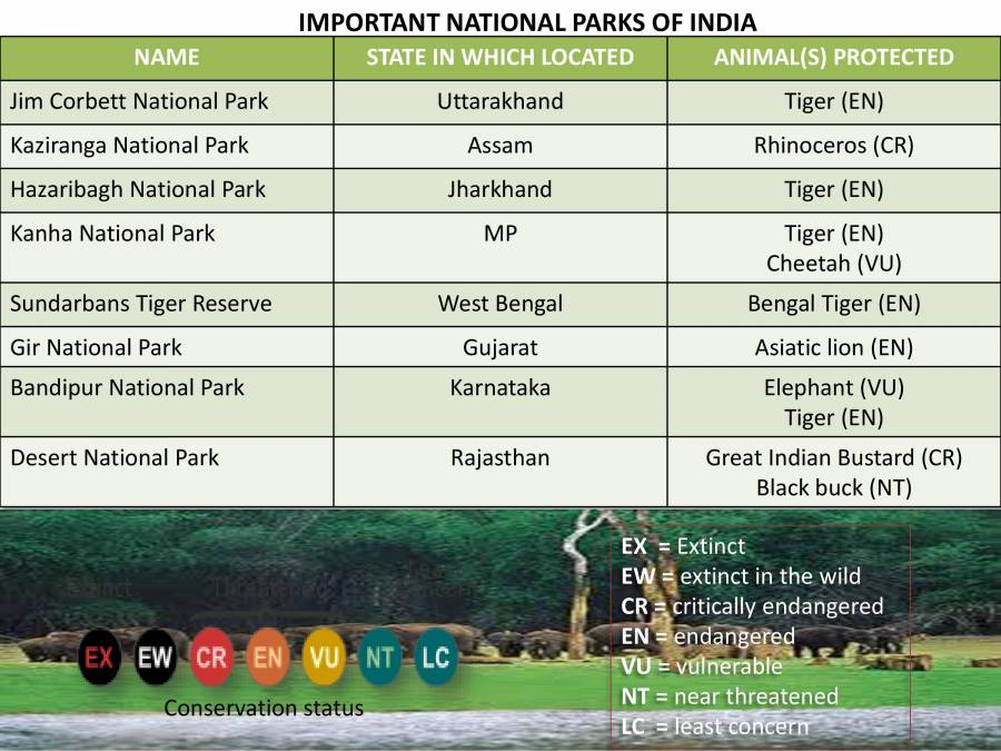 Wildlife Conservation - PowerPoint Slides - LearnPick India