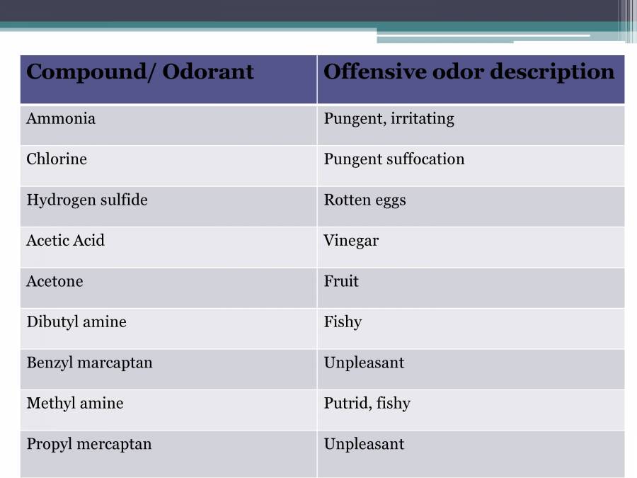 Odor Measurement And Control PowerPoint Slides LearnPick India
