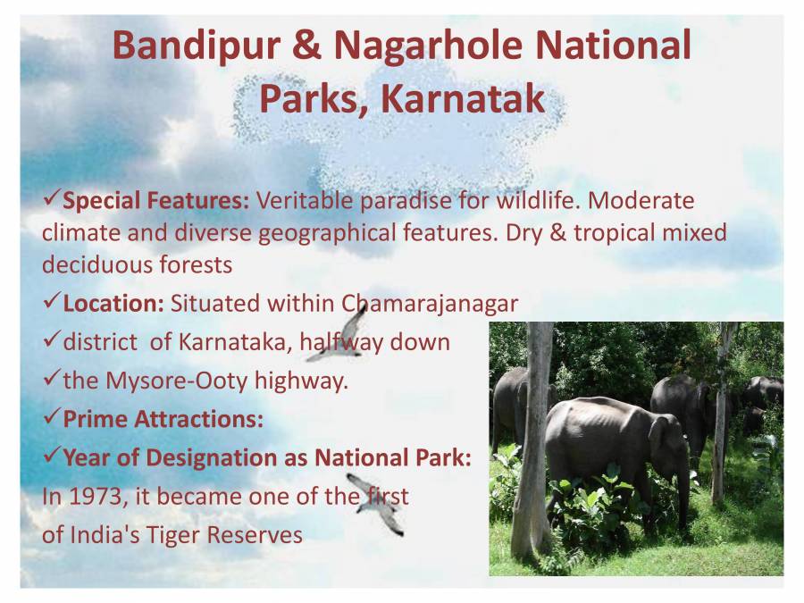 Indian Heritage - Wildlife - PowerPoint Slides - LearnPick India