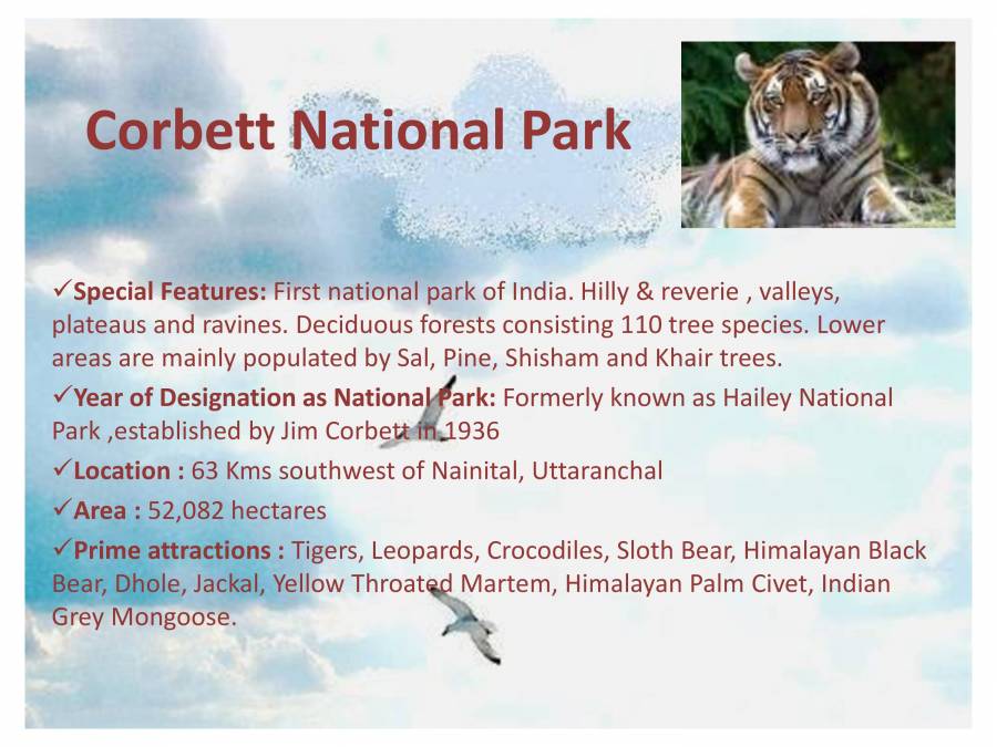 Indian Heritage - Wildlife - PowerPoint Slides - LearnPick India