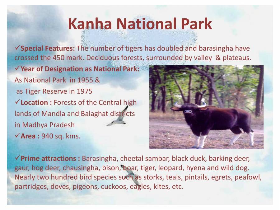 Indian Heritage - Wildlife - PowerPoint Slides - LearnPick India