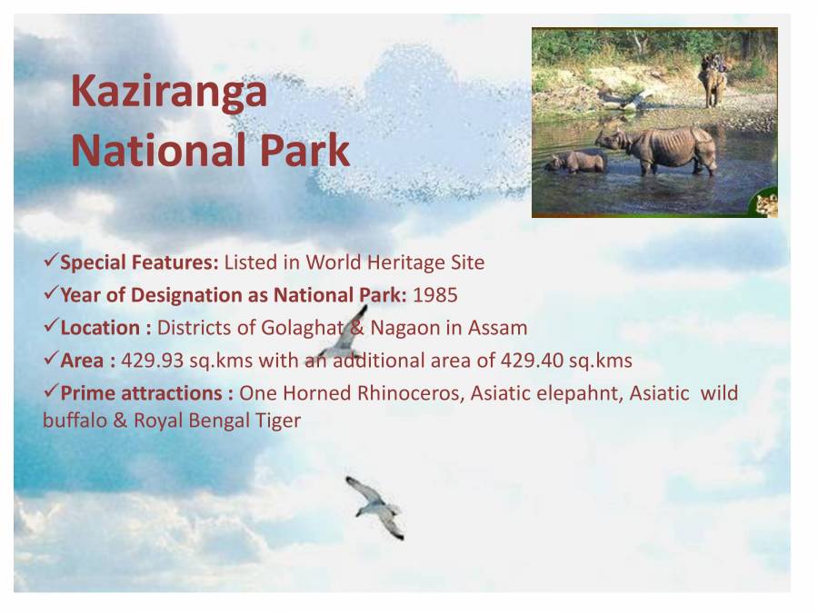 Indian Heritage - Wildlife - PowerPoint Slides - LearnPick India