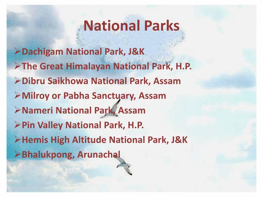 Indian Heritage - Wildlife - PowerPoint Slides - LearnPick India