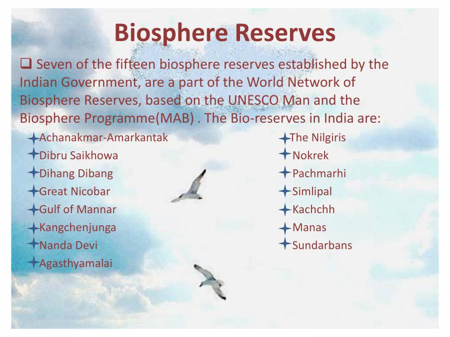 Indian Heritage - Wildlife - PowerPoint Slides - LearnPick India